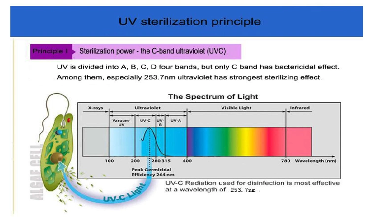 Aluminum Ceiling Embedded UV Sterilizer Lamp Germicidal